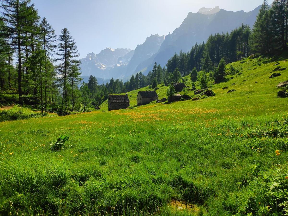 B&B Chalet Il Picchio วาร์โซ ภายนอก รูปภาพ