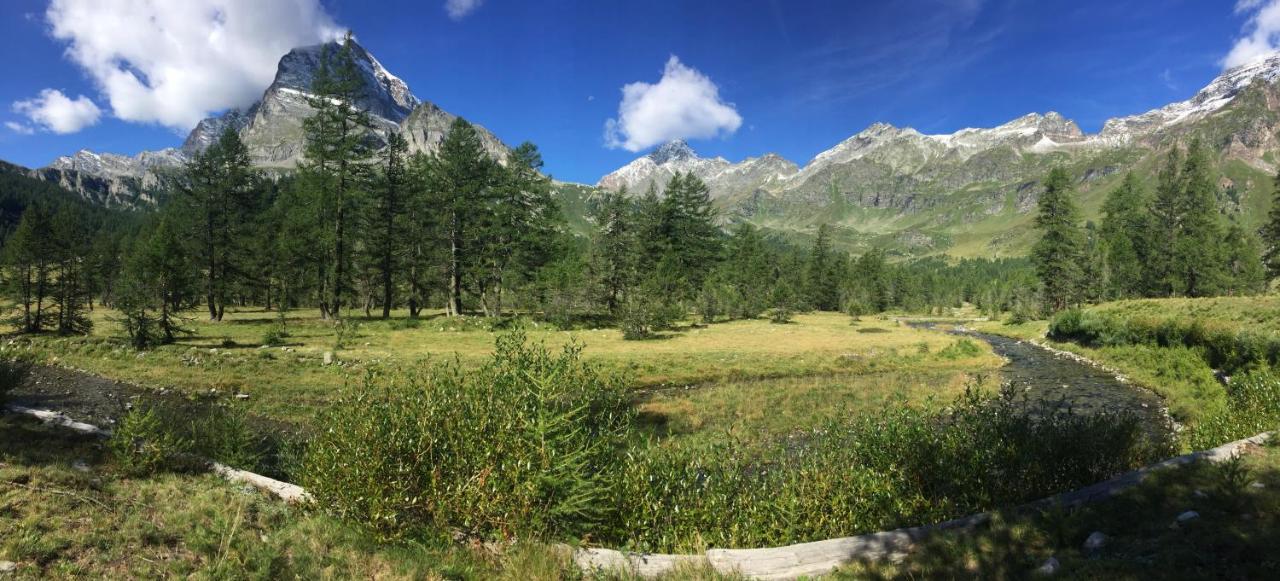 B&B Chalet Il Picchio วาร์โซ ภายนอก รูปภาพ