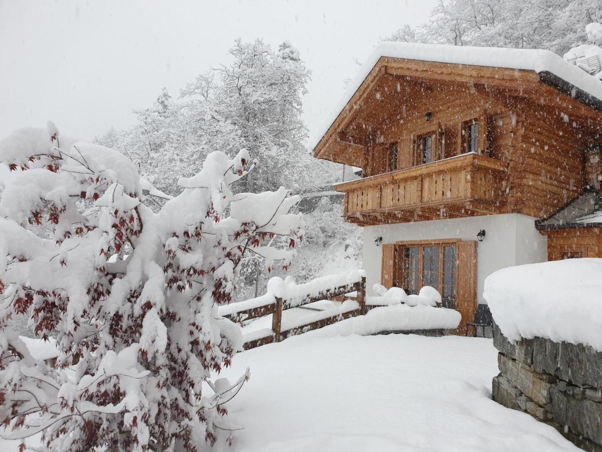 B&B Chalet Il Picchio วาร์โซ ภายนอก รูปภาพ