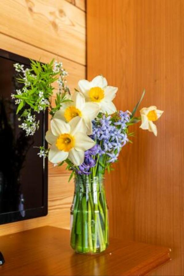 B&B Chalet Il Picchio วาร์โซ ภายนอก รูปภาพ